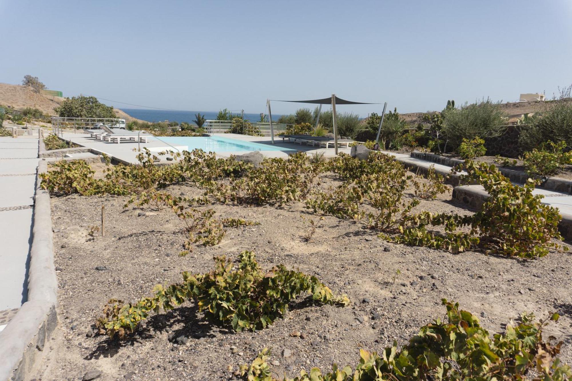Villas Scirocco Fira  Eksteriør bilde